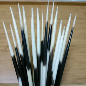 Bastoncini galleggianti per capelli in vera spina di porcospino bianco e nero accessori fai da te multiuso all'ingrosso