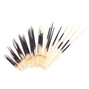 Bastone per capelli con spine di porcospino Accessori artigianali indiani per forcine in osso naturale fai-da-te
