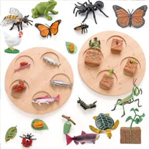 Tavola Ciclo di Vita degli Animali Giocattoli Educativi Montessori Set di Modelli per la Crescita degli Animali per Bambini
