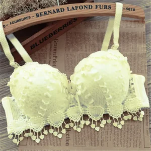 Reggiseno sexy da donna in morbido pizzo con spalline regolabili push up e ferretto lingerie imbottita per un top irresistibile