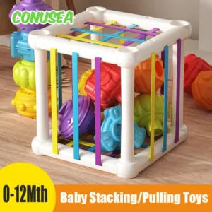 Giocattoli Montessori Blocchi Impilabili per Bambini Sviluppo Sensoriale Apprendimento 0-12 Mesi Ombra di Colore