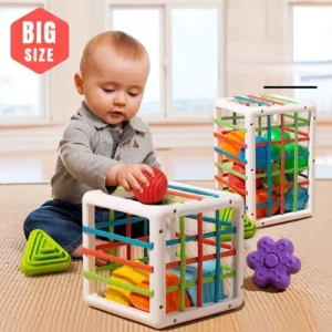 Blocchi Colorati Gioco di Smistamento Baby Montessori Giocattolo Educativo per Neonati da 0 a 12 Mesi Regalo Ideale per Bambini